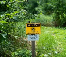 Maitre-et-compagnon-apiculture1